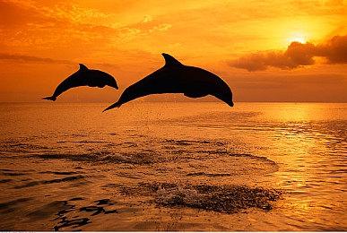 粉丝狂喜！《四海兄弟：故乡》甩掉开放世界包袱